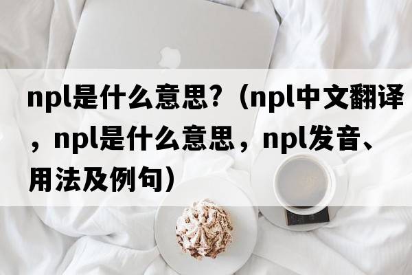 npl是什么意思?（npl中文翻譯，npl是什么意思，npl發(fā)音、用法及例句）
