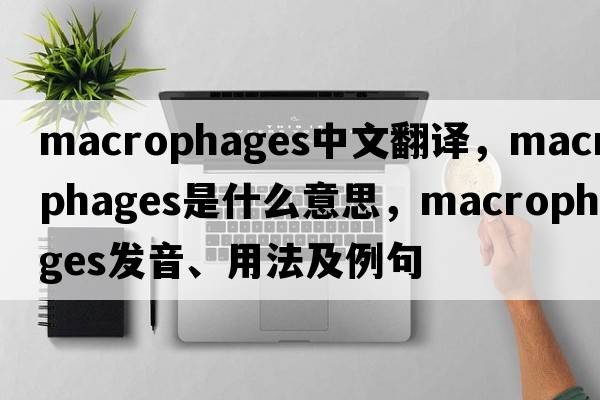 macrophages中文翻譯，macrophages是什么意思，macrophages發(fā)音、用法及例句