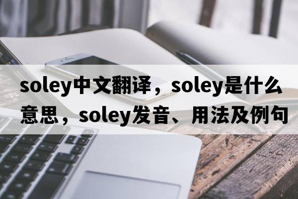 Soley中文翻譯，Soley是什么意思，Soley發(fā)音、用法及例句