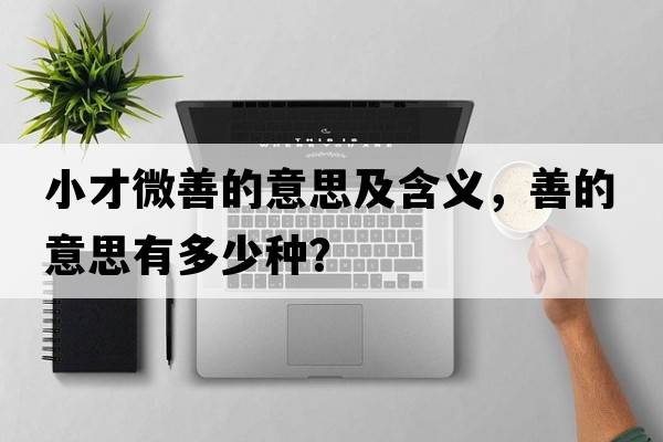 小才微善的意思及含義，善的意思有多少種？