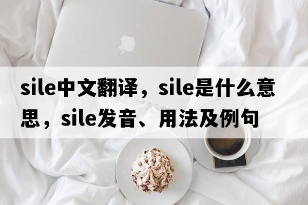 sile中文翻譯，sile是什么意思，sile發(fā)音、用法及例句