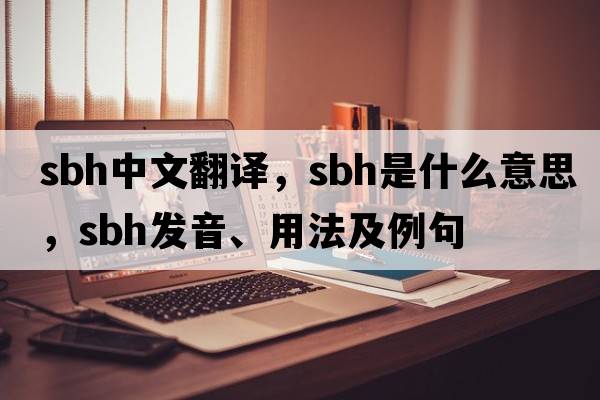 sbh中文翻譯，sbh是什么意思，sbh發(fā)音、用法及例句