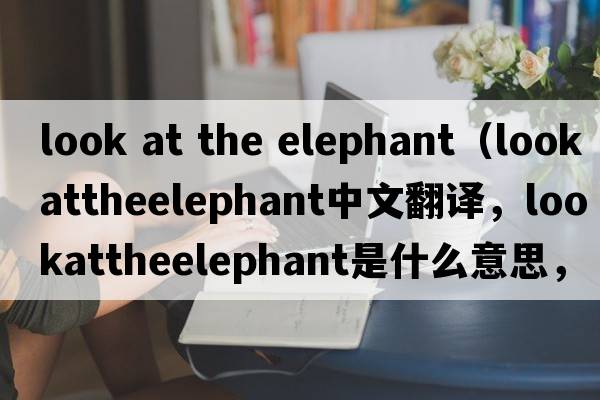 look at the elephant（lookattheelephant中文翻譯，lookattheelephant是什么意思，lookattheelephant發(fā)音、用法及例句）