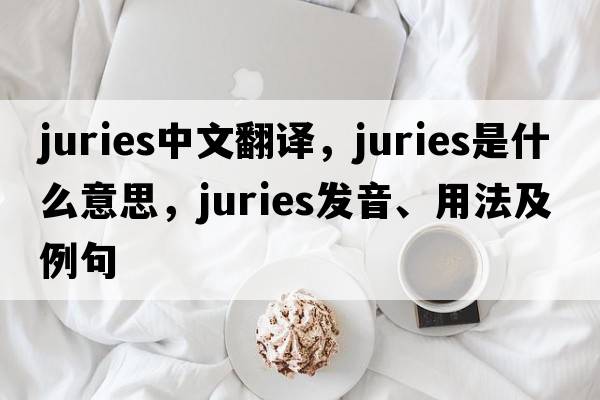 juries中文翻譯，juries是什么意思，juries發(fā)音、用法及例句