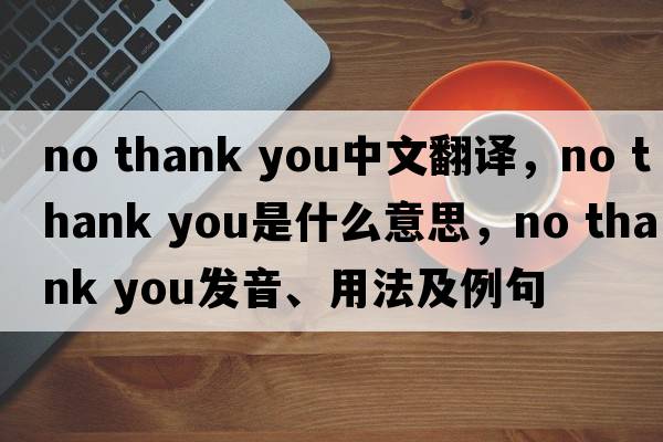 no thank you中文翻譯，no thank you是什么意思，no thank you發(fā)音、用法及例句