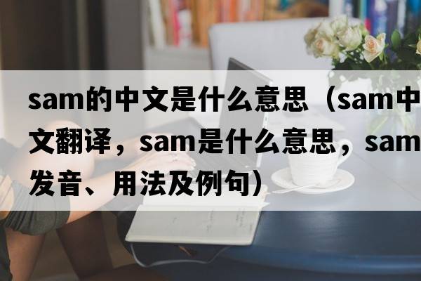 sam的中文是什么意思（sam中文翻譯，sam是什么意思，sam發(fā)音、用法及例句）