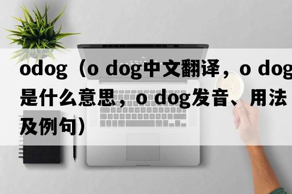 odog（o dog中文翻譯，o dog是什么意思，o dog發(fā)音、用法及例句）