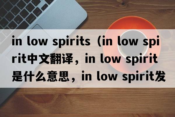 in low spirits（in low spirit中文翻譯，in low spirit是什么意思，in low spirit發(fā)音、用法及例句）