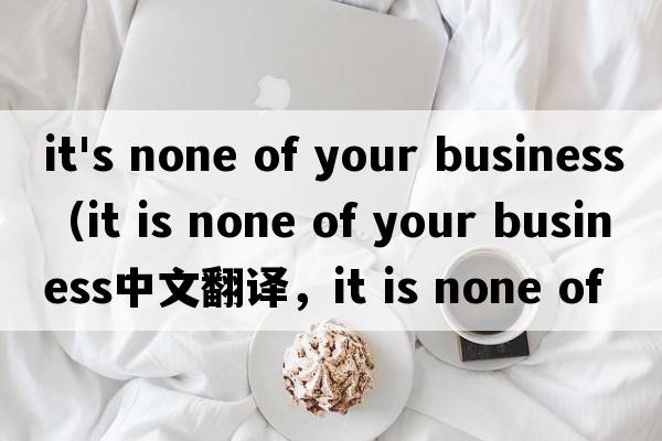 it's none of your business（it is none of your business中文翻譯，it is none of your business是什么意思，it