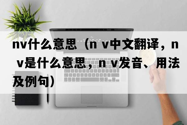 nv什么意思（n v中文翻譯，n v是什么意思，n v發(fā)音、用法及例句）