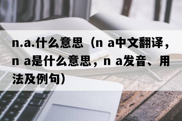 n.a.什么意思（n a中文翻譯，n a是什么意思，n a發(fā)音、用法及例句）