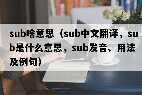 sub啥意思（sub中文翻譯，sub是什么意思，sub發(fā)音、用法及例句）