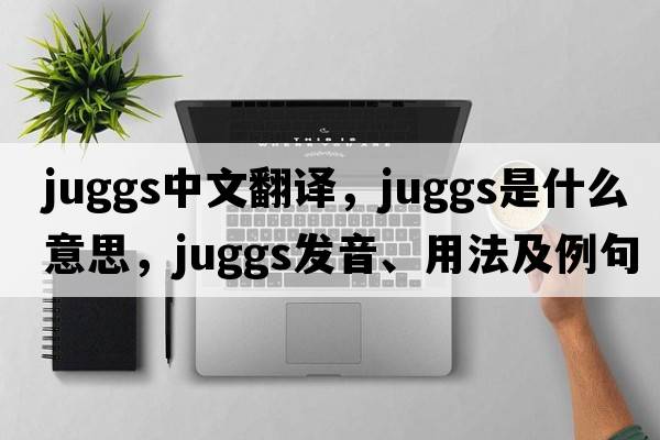 juggs中文翻譯，juggs是什么意思，juggs發(fā)音、用法及例句