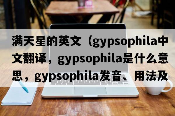 滿天星的英文（gypsophila中文翻譯，gypsophila是什么意思，gypsophila發(fā)音、用法及例句）