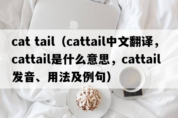 cat tail（cattail中文翻譯，cattail是什么意思，cattail發(fā)音、用法及例句）