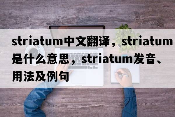 striatum中文翻譯，striatum是什么意思，striatum發(fā)音、用法及例句