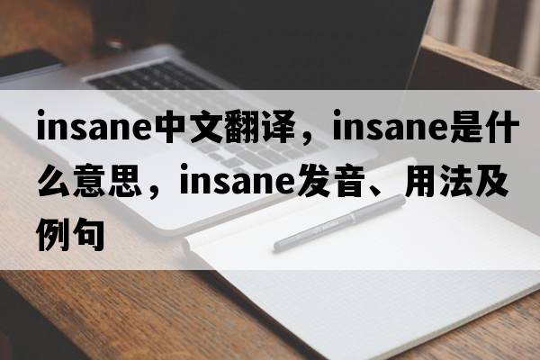 insane中文翻譯，insane是什么意思，insane發(fā)音、用法及例句