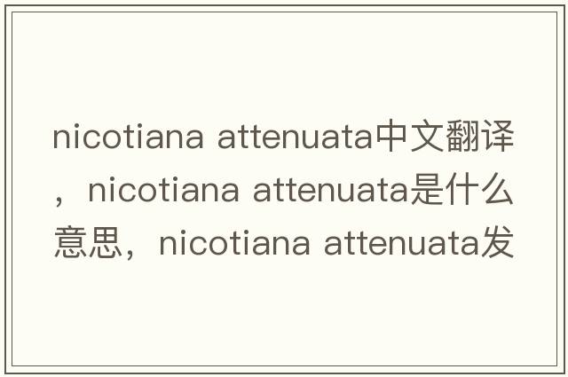 nicotiana attenuata中文翻譯，nicotiana attenuata是什么意思，nicotiana attenuata發(fā)音、用法及例句