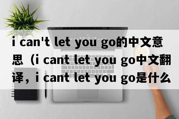 i can't let you go的中文意思（i cant let you go中文翻譯，i cant let you go是什么意思，i cant let you go發(fā)音、用法及例句）