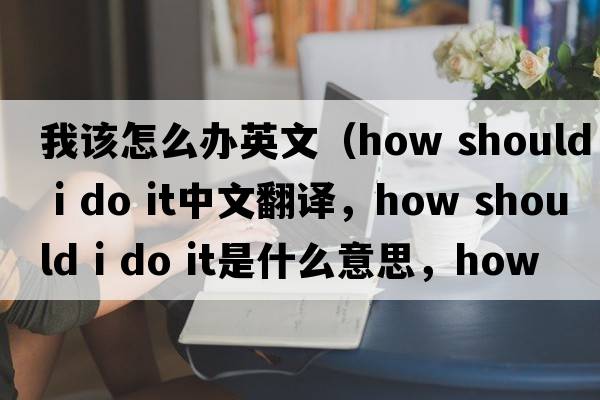 我該怎么辦英文（how should i do it中文翻譯，how should i do it是什么意思，how should i do it發(fā)音、用法及例句）