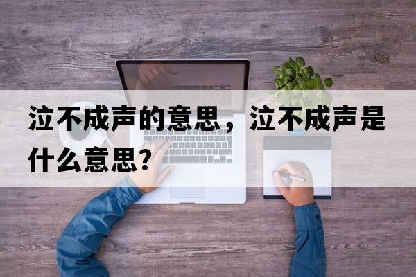 泣不成聲的意思，泣不成聲是什么意思？