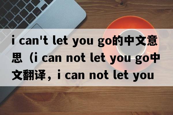 i can't let you go的中文意思（i can not let you go中文翻譯，i can not let you go是什么意思，i can not let you go