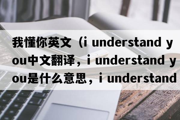 我懂你英文（i understand you中文翻譯，i understand you是什么意思，i understand you發(fā)音、用法及例句）