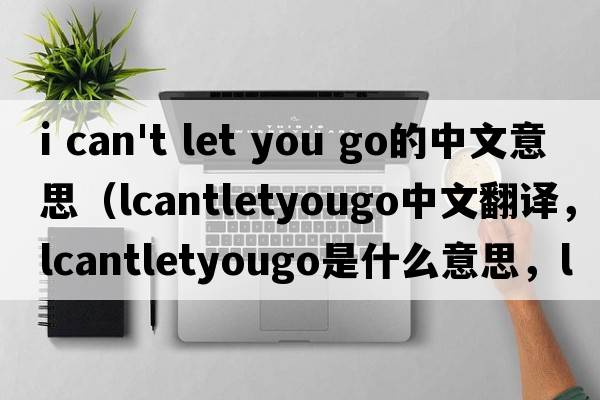 i can't let you go的中文意思（lcantletyougo中文翻譯，lcantletyougo是什么意思，lcantletyougo發(fā)音、用法及例句）
