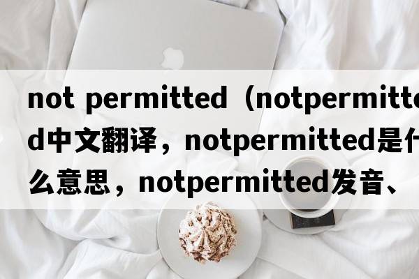 not permitted（notpermitted中文翻譯，notpermitted是什么意思，notpermitted發(fā)音、用法及例句）