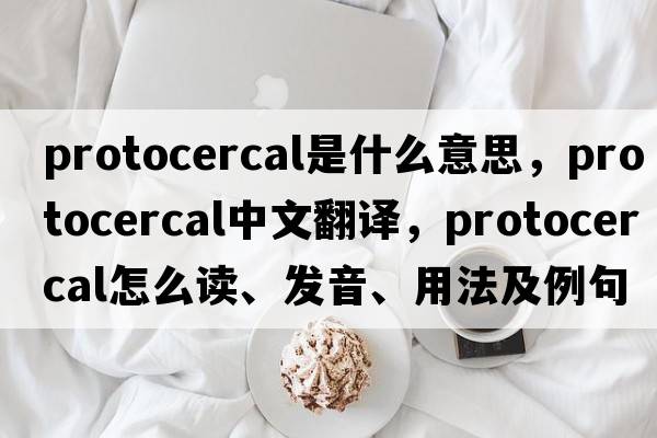 protocercal是什么意思，protocercal中文翻譯，protocercal怎么讀、發(fā)音、用法及例句