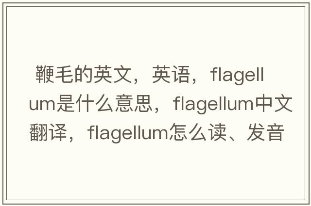  鞭毛的英文，英語，flagellum是什么意思，flagellum中文翻譯，flagellum怎么讀、發(fā)音、用法及例句