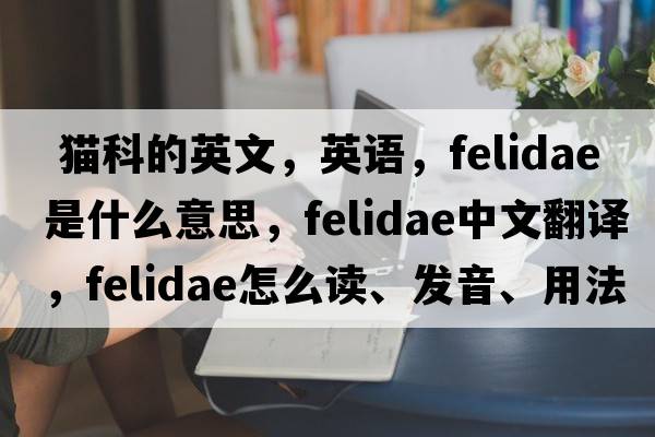  貓科的英文，英語，F(xiàn)elidae是什么意思，F(xiàn)elidae中文翻譯，F(xiàn)elidae怎么讀、發(fā)音、用法及例句