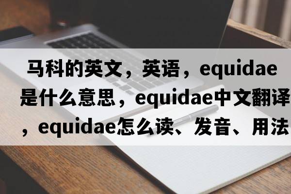 馬科的英文，英語，Equidae是什么意思，Equidae中文翻譯，Equidae怎么讀、發(fā)音、用法及例句