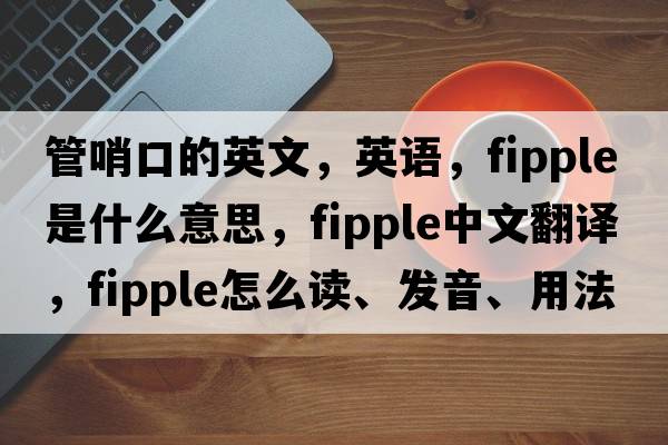 管哨口的英文，英語(yǔ)，fipple是什么意思，fipple中文翻譯，fipple怎么讀、發(fā)音、用法及例句