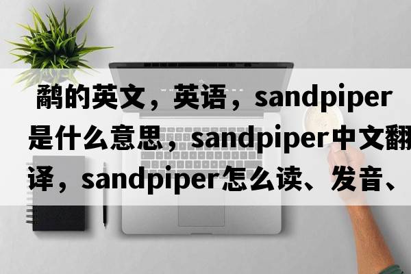  鷸的英文，英語(yǔ)，sandpiper是什么意思，sandpiper中文翻譯，sandpiper怎么讀、發(fā)音、用法及例句