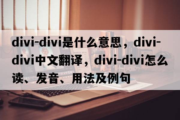 divi-divi是什么意思，divi-divi中文翻譯，divi-divi怎么讀、發(fā)音、用法及例句