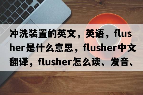 沖洗裝置的英文，英語，flusher是什么意思，flusher中文翻譯，flusher怎么讀、發(fā)音、用法及例句