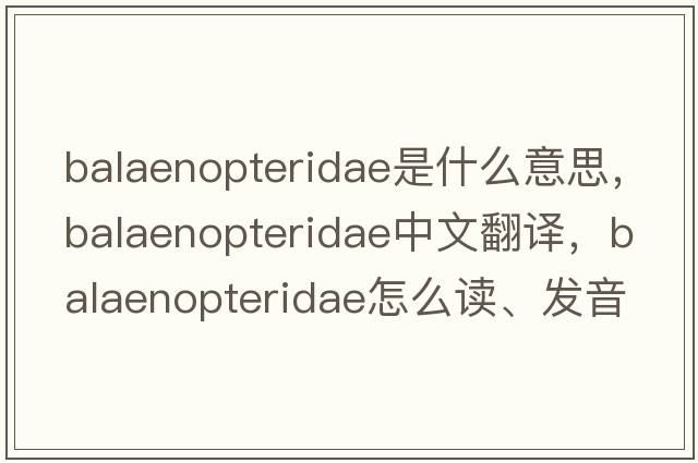 Balaenopteridae是什么意思，Balaenopteridae中文翻譯，Balaenopteridae怎么讀、發(fā)音、用法及例句