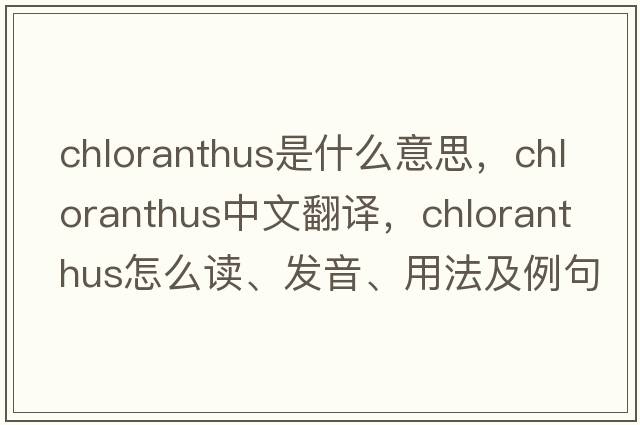 chloranthus是什么意思，chloranthus中文翻譯，chloranthus怎么讀、發(fā)音、用法及例句