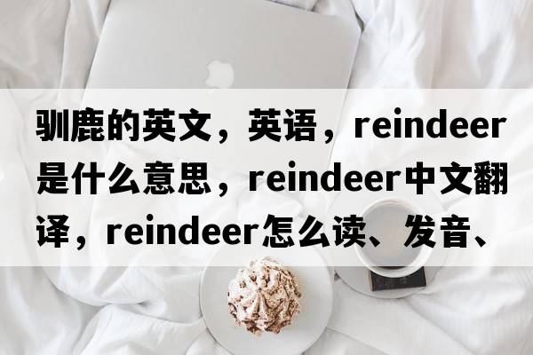 馴鹿的英文，英語，reindeer是什么意思，reindeer中文翻譯，reindeer怎么讀、發(fā)音、用法及例句