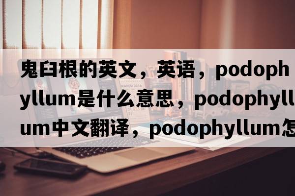 鬼臼根的英文，英語，podophyllum是什么意思，podophyllum中文翻譯，podophyllum怎么讀、發(fā)音、用法及例句
