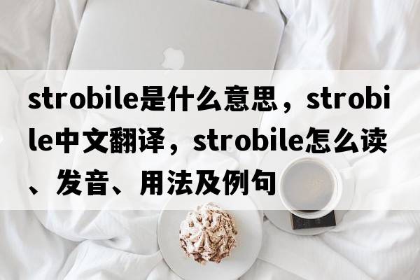 strobile是什么意思，strobile中文翻譯，strobile怎么讀、發(fā)音、用法及例句