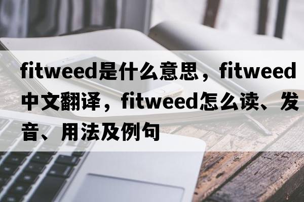 Fitweed是什么意思，F(xiàn)itweed中文翻譯，F(xiàn)itweed怎么讀、發(fā)音、用法及例句