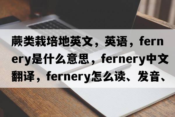 蕨類栽培地英文，英語，fernery是什么意思，fernery中文翻譯，fernery怎么讀、發(fā)音、用法及例句