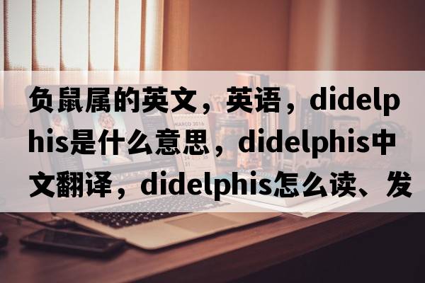 負(fù)鼠屬的英文，英語，Didelphis是什么意思，Didelphis中文翻譯，Didelphis怎么讀、發(fā)音、用法及例句