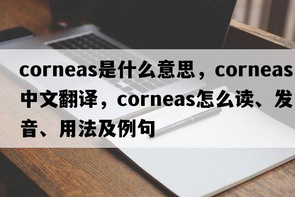 corneas是什么意思，corneas中文翻譯，corneas怎么讀、發(fā)音、用法及例句