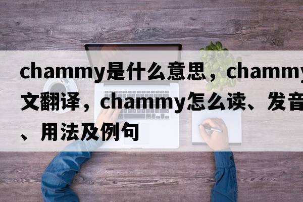 chammy是什么意思，chammy中文翻譯，chammy怎么讀、發(fā)音、用法及例句