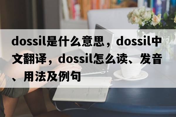 dossil是什么意思，dossil中文翻譯，dossil怎么讀、發(fā)音、用法及例句