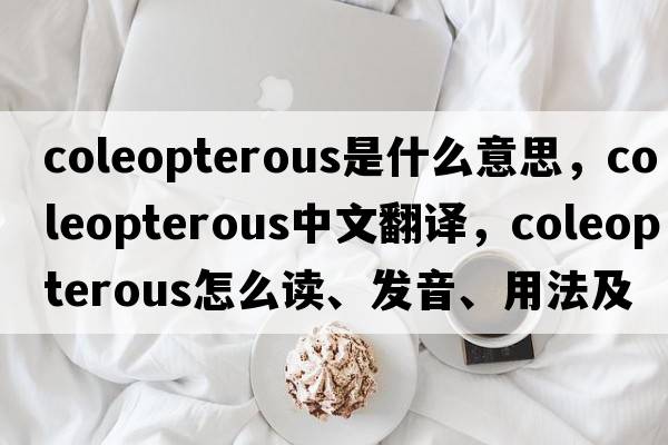 coleopterous是什么意思，coleopterous中文翻譯，coleopterous怎么讀、發(fā)音、用法及例句