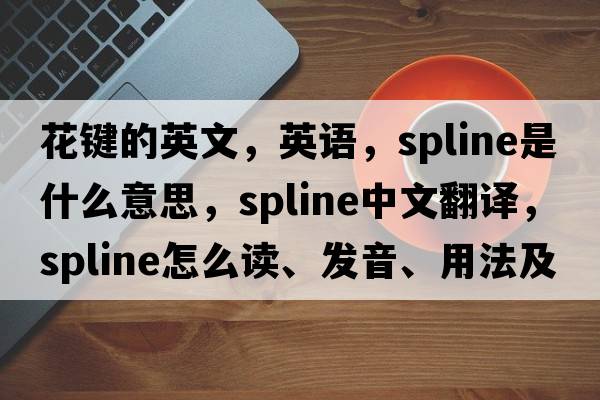 花鍵的英文，英語，spline是什么意思，spline中文翻譯，spline怎么讀、發(fā)音、用法及例句